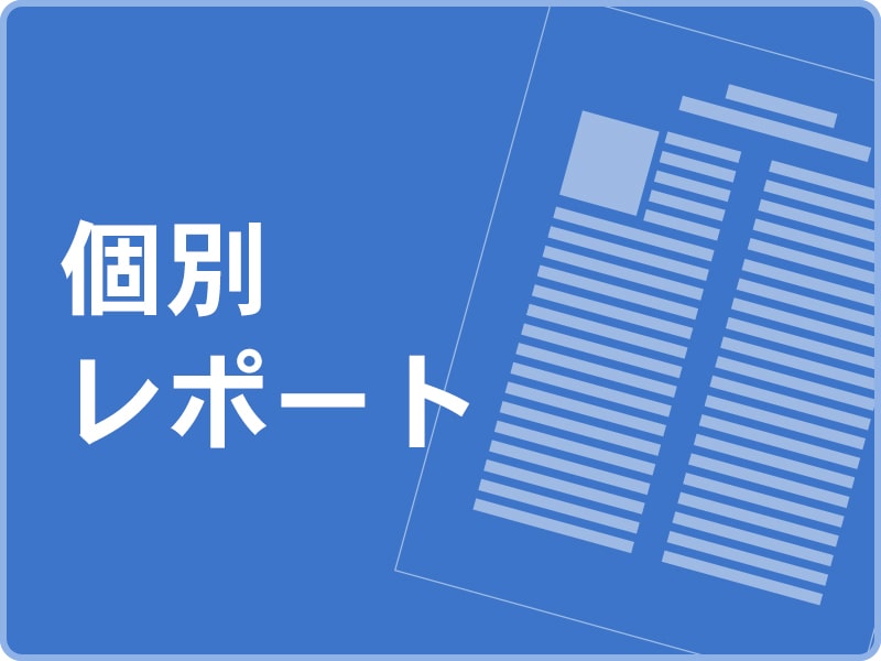 個別レポート